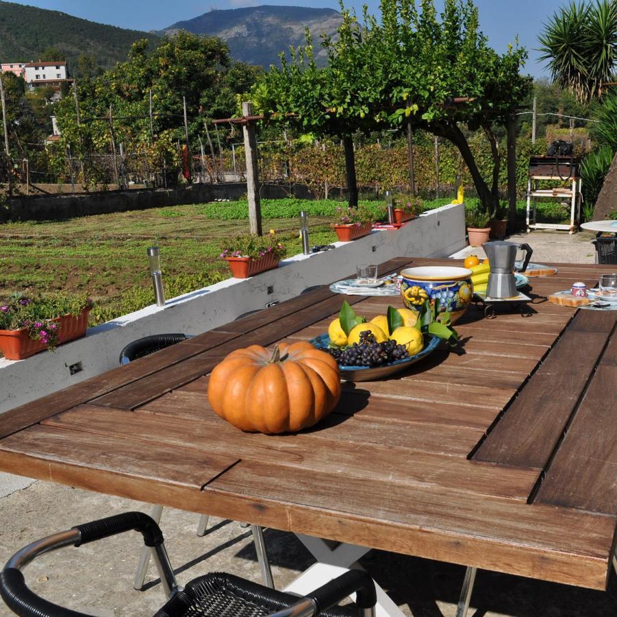 Contrada Vigna Bed & Breakfast Vietri Екстериор снимка